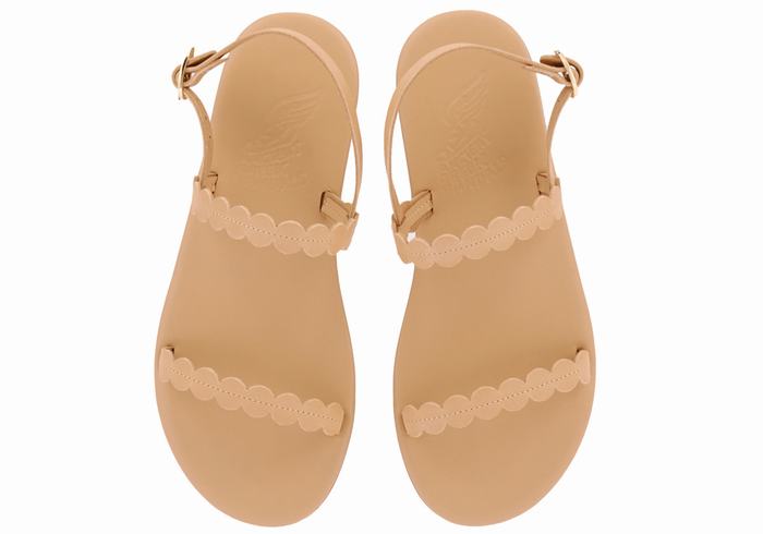 Sandales Bride Arrière Ancient Greek Sandals Aroula   | BAD-4913019